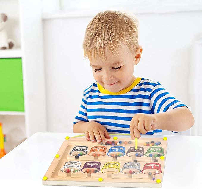 Montessori Magnetic Color Matching Board