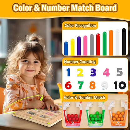 Montessori Magnetic Color Matching Board