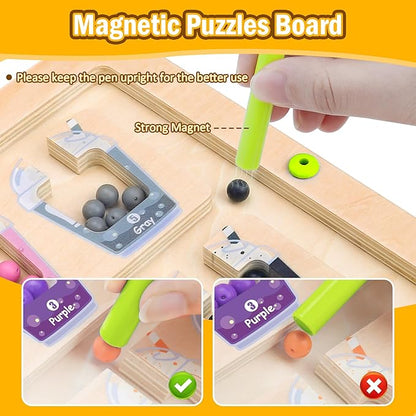 Montessori Magnetic Color Matching Board